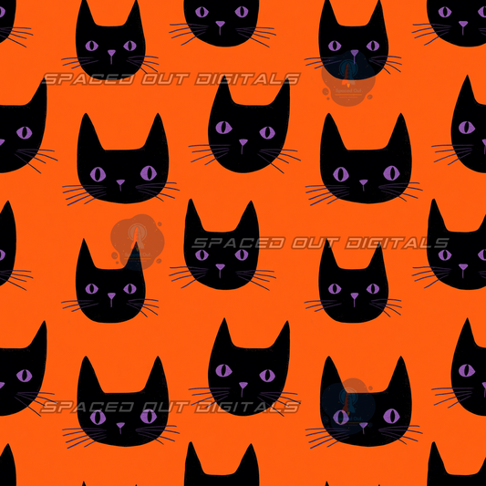 Black Cats