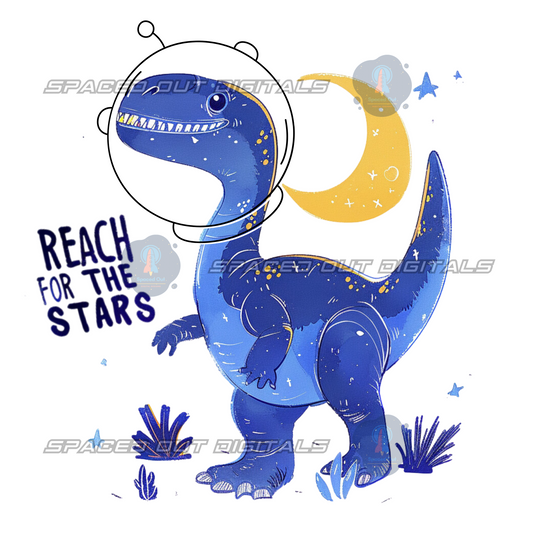 Reach For The Stars PNG