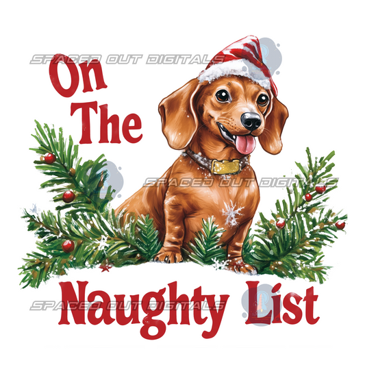 On The Naughty List PNG