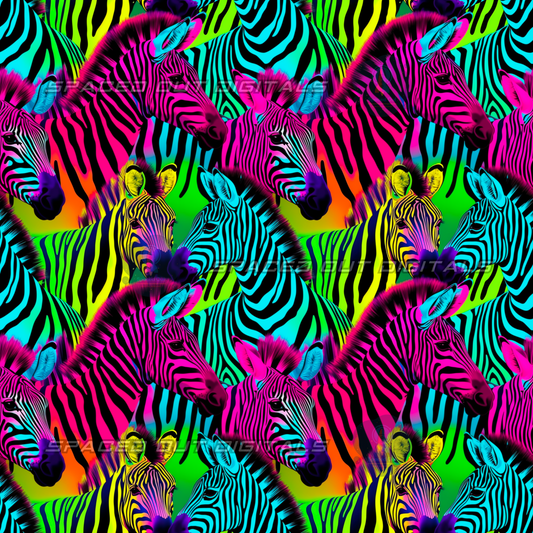 Rainbow Zebras