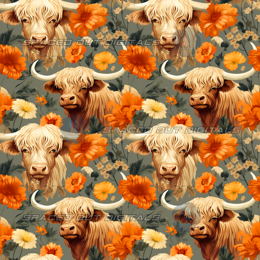 Highland Cows